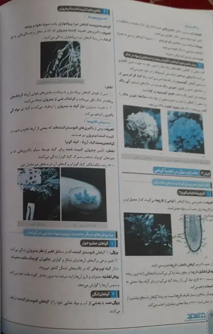 کتاب زیست دهم سیگنال ۲۰|کتاب و مجله آموزشی|سبزوار, امیر کبیر|دیوار