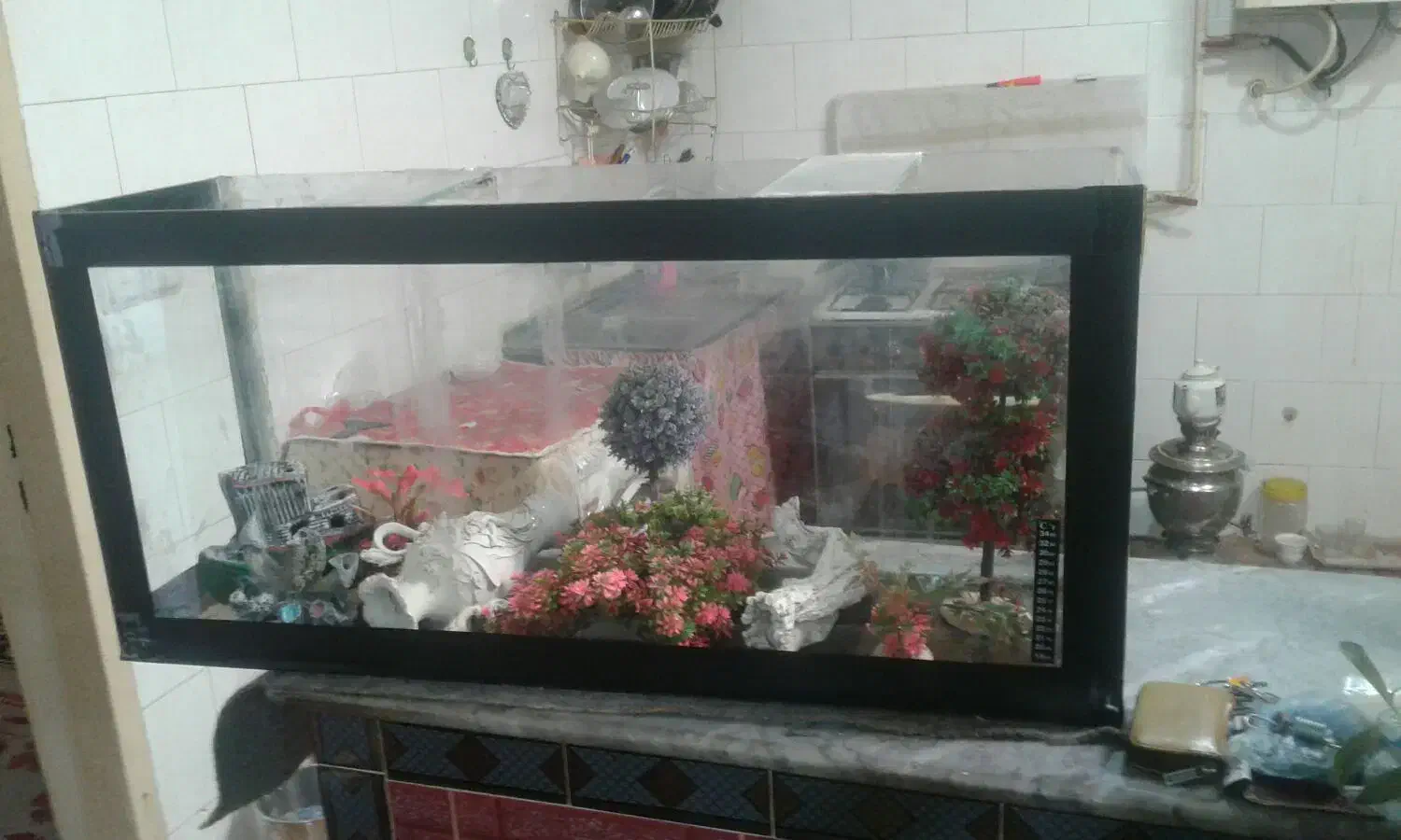 فروش اکواریوم به دلیل نداشتن جا|ماهی|تبریز, |دیوار