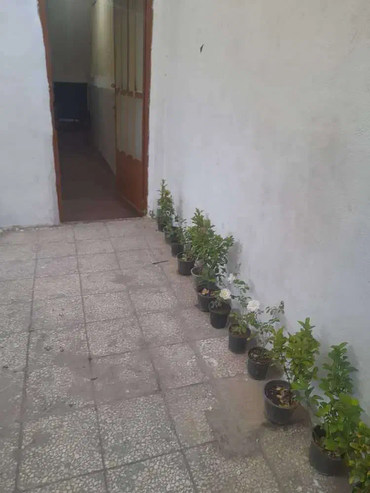 اجاره سوئیت دربستی|اجارهٔ کوتاه‌مدت آپارتمان و سوئیت|قم, حاج زینل|دیوار