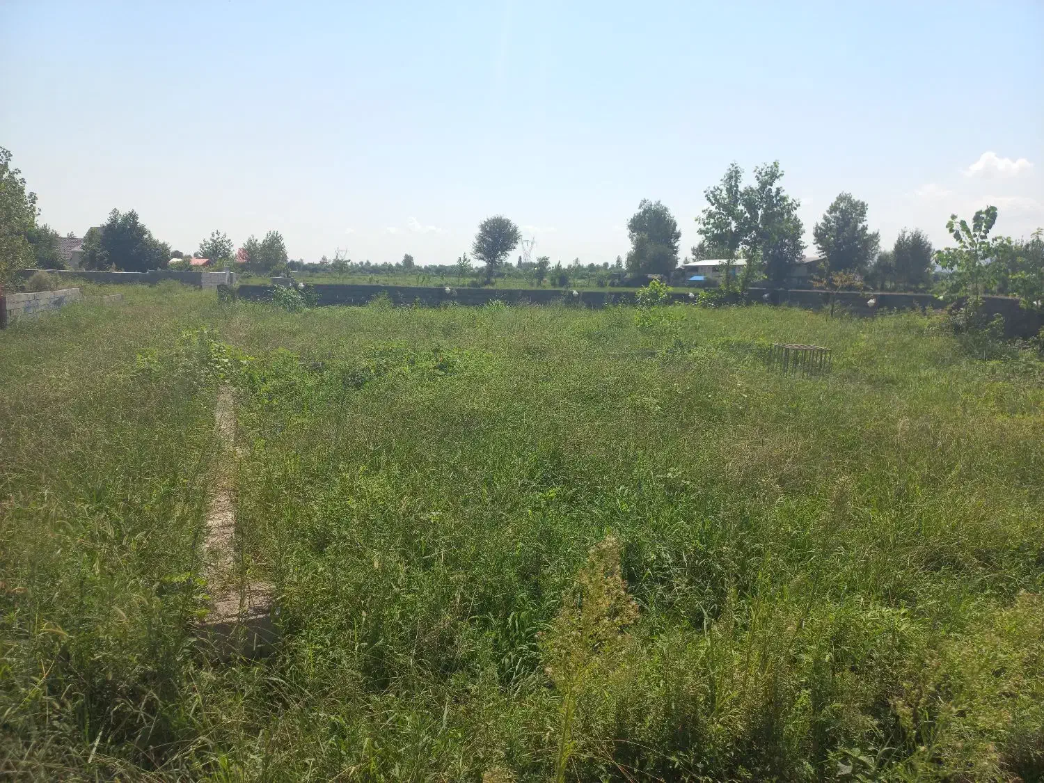 فروش ۴۲۱ متر زمین مسکونی روستای الکام لتوم پره سر|فروش زمین و ملک کلنگی|پره‌سر, |دیوار