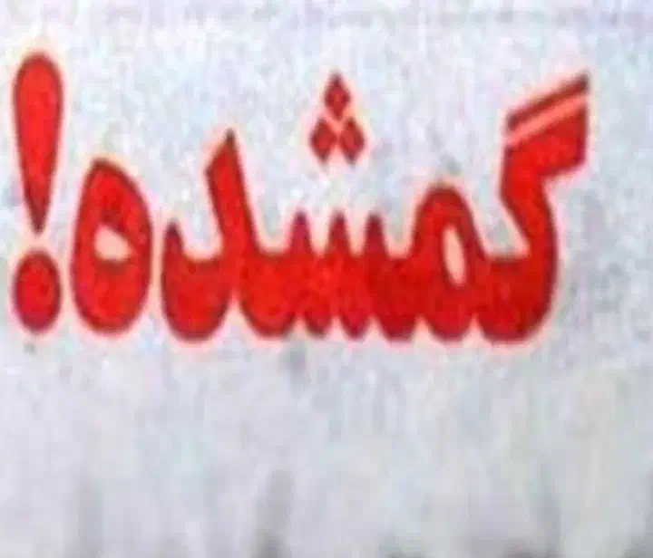 گمشده ی کارت سوخت|اشیا|قروه, |دیوار