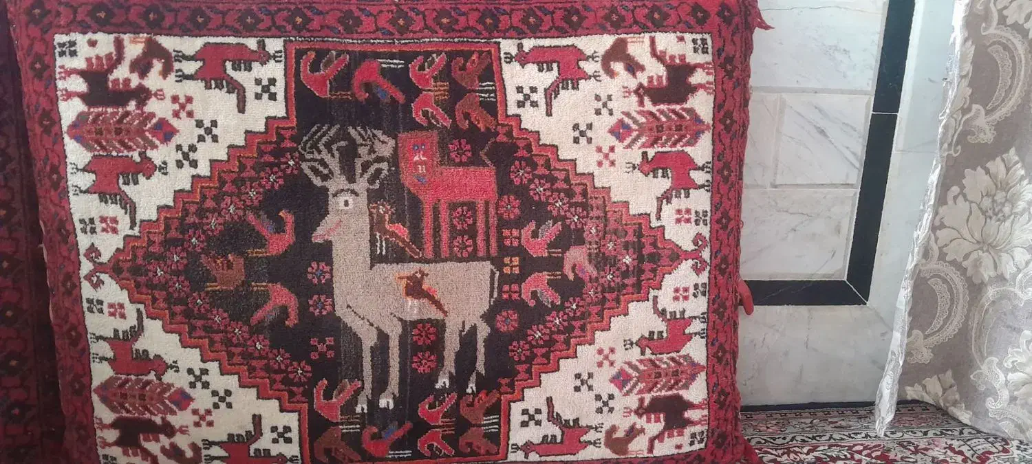 دوجفت پشتی|پشتی|تربت‌حیدریه, قائم|دیوار