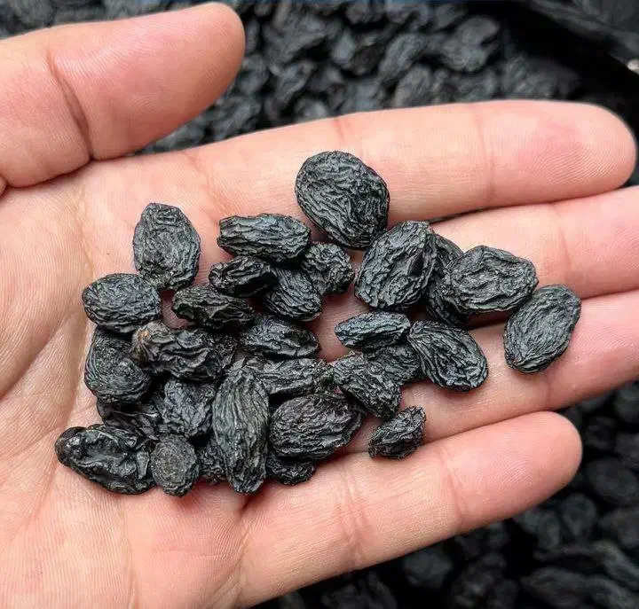 کشمش ترکمن۴|خوردنی و آشامیدنی|تاکستان, |دیوار