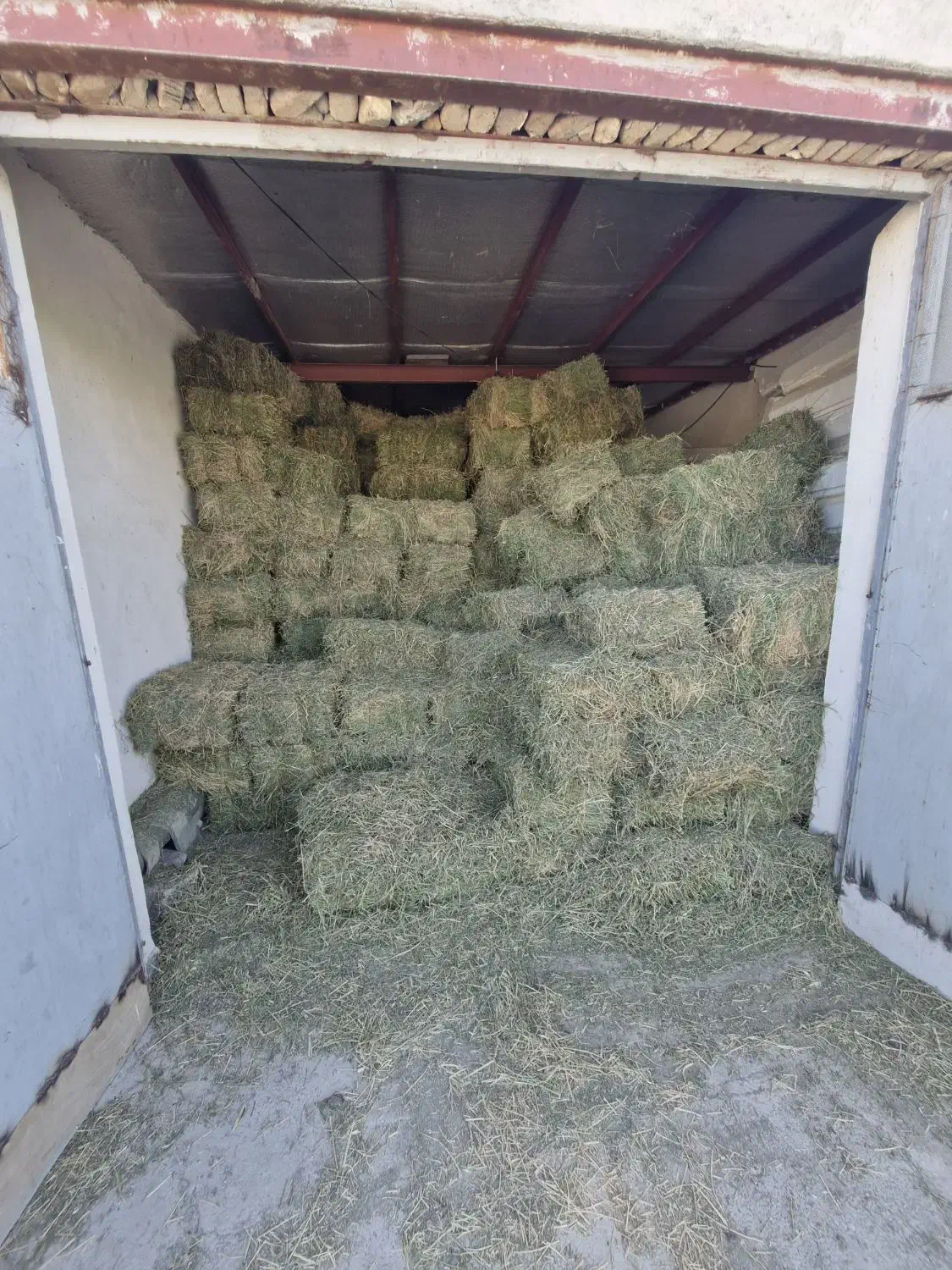 یونجه خشک و درجه یک - مناسب دام گاو  گوسفند اسب|حیوانات مزرعه|دشت ذهاب, |دیوار