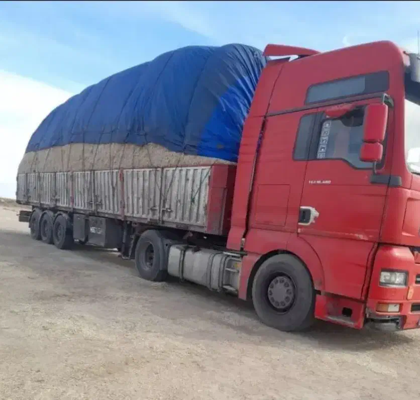 کاه سفال  تفاله ،  کاه نیشکر باگاس امسالی فله ای|لوازم جانبی حیوانات|شیراز, جمهوری|دیوار