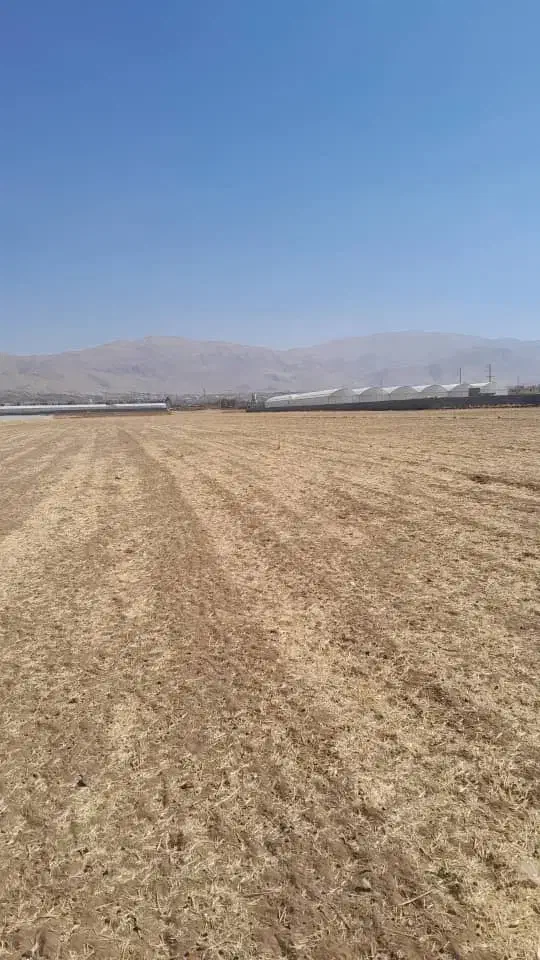 زمین کشاورزی ۳۰۰۰ متری سپیدان رودبال|فروش زمین و ملک کلنگی|سپیدان, |دیوار