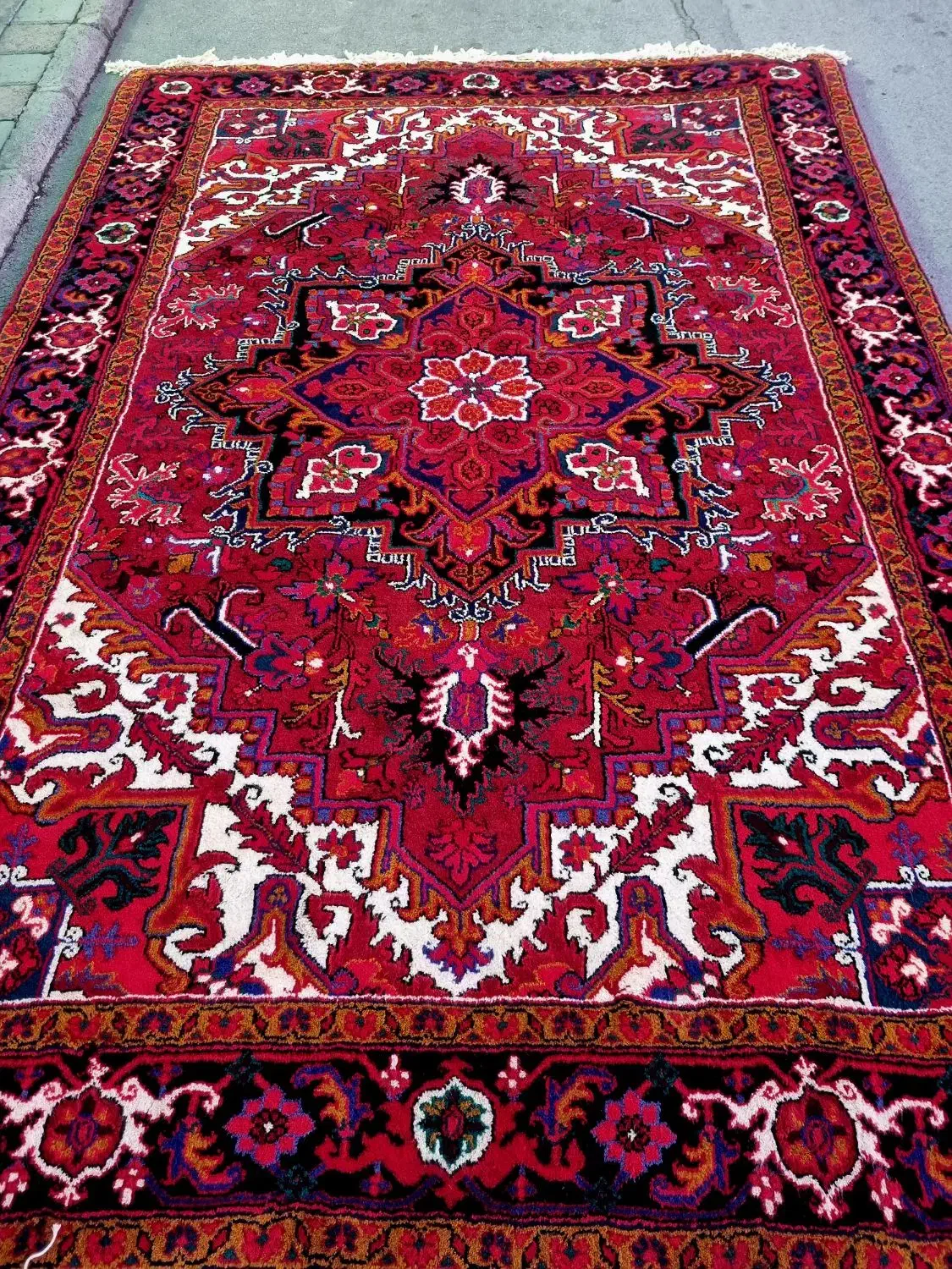 تک ۹ متری جانقور|فرش|مراغه, |دیوار