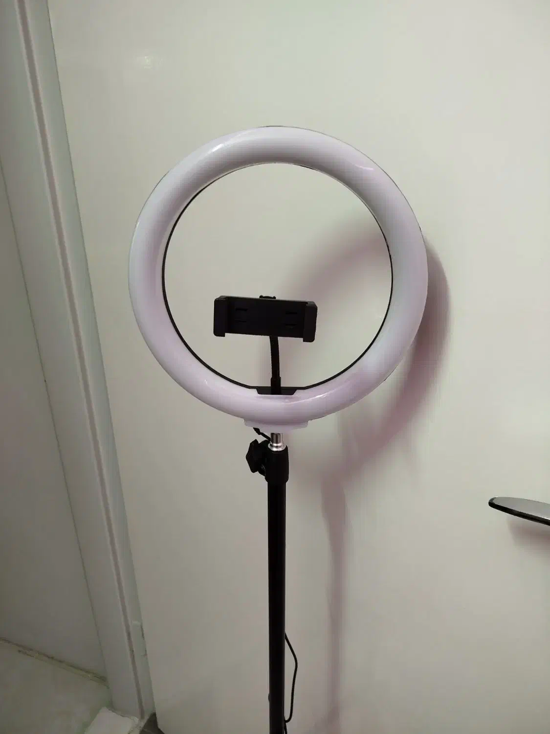 رینگ لایت فقط۱۵۰۰|دوربین عکاسی و فیلم‌برداری|مشهد, کوی دروی|دیوار