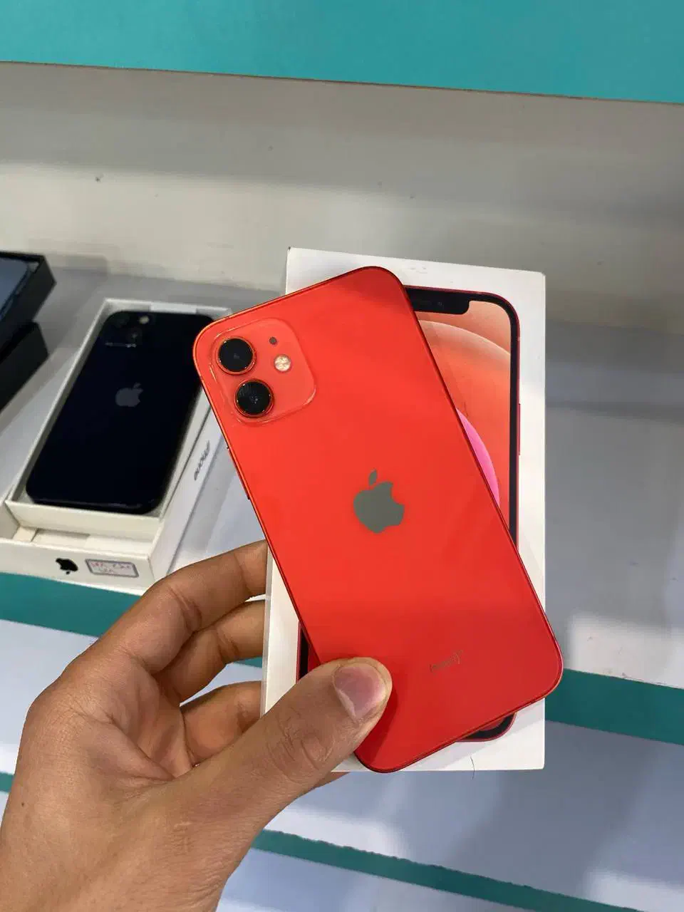 ایفون ۱۲|موبایل|تبریز, |دیوار