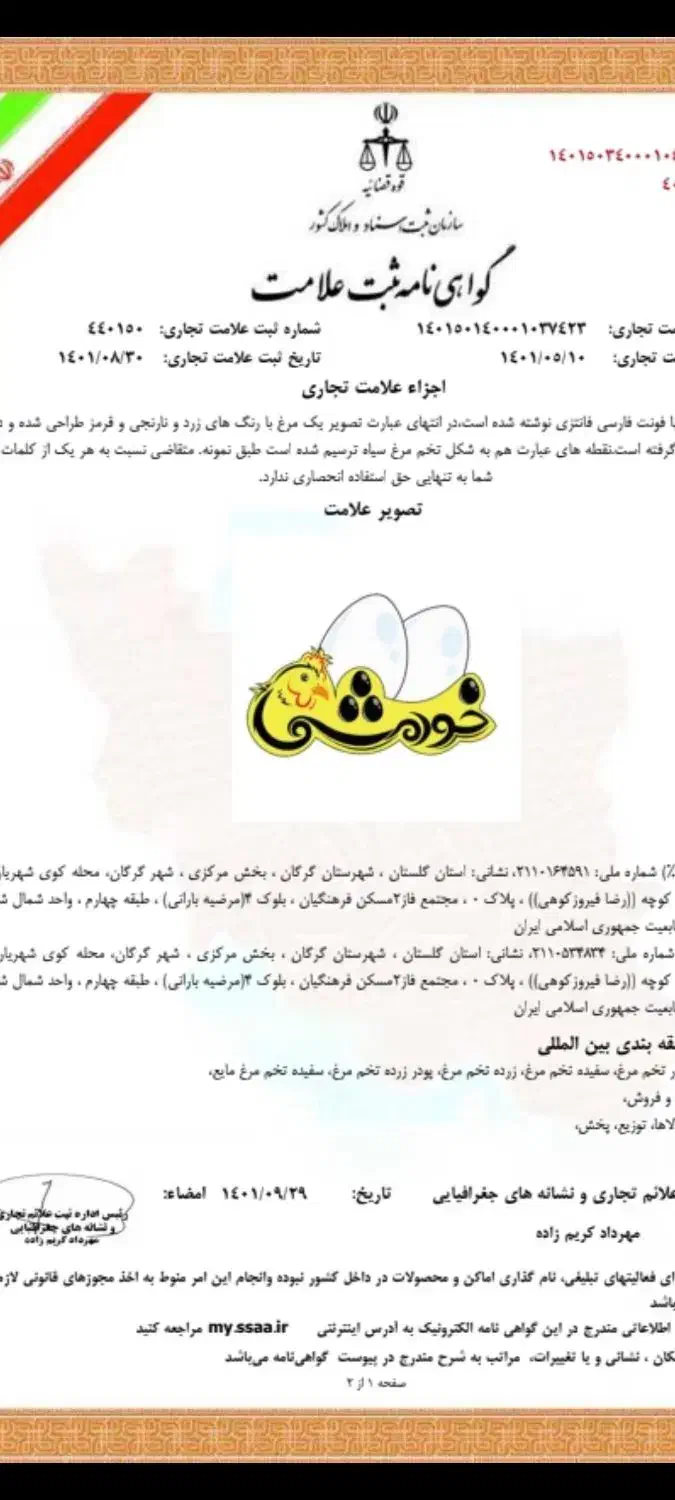 برند آماده|مواد شوینده و دستمال کاغذی|جلین, |دیوار