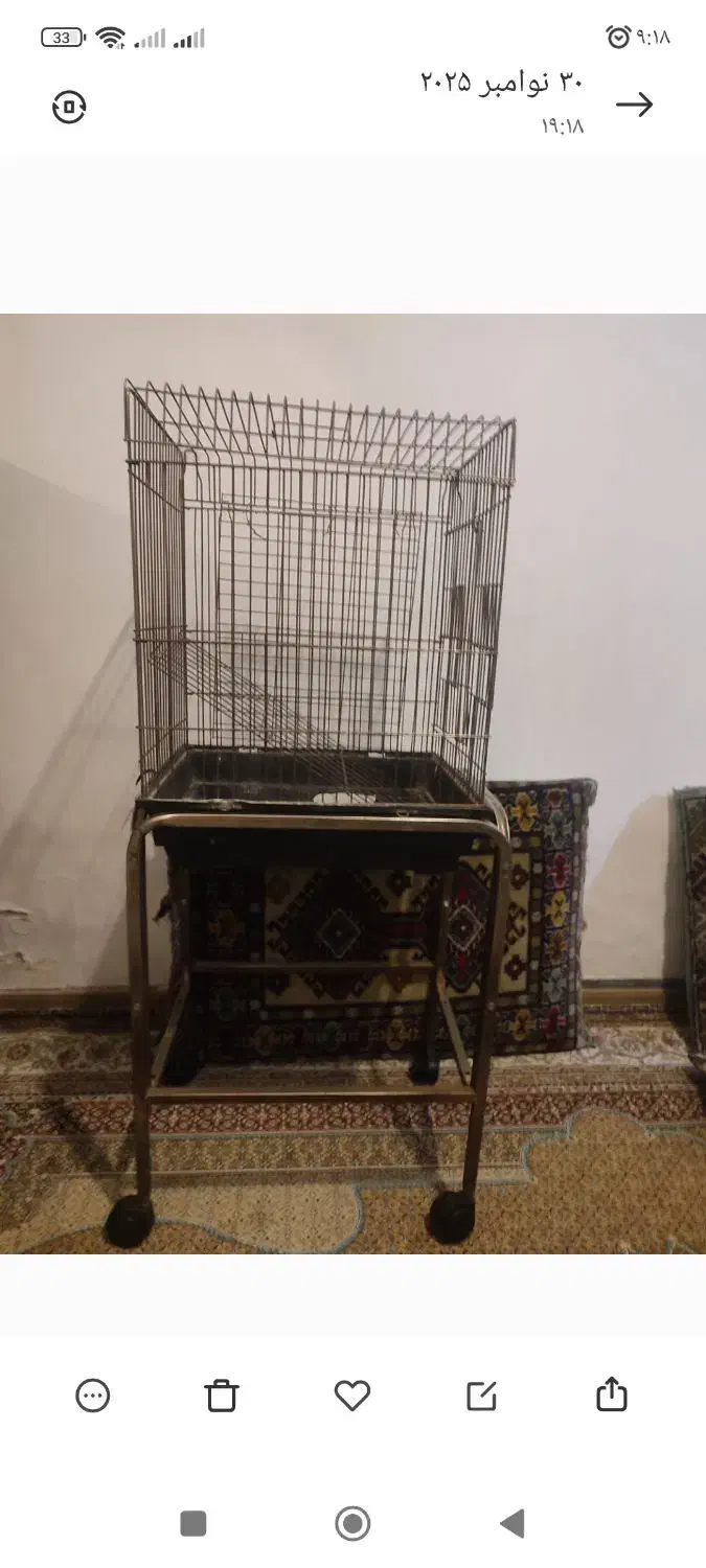 قفس پرنده|لوازم جانبی حیوانات|رباط‌کریم, رباط‌کریم|دیوار