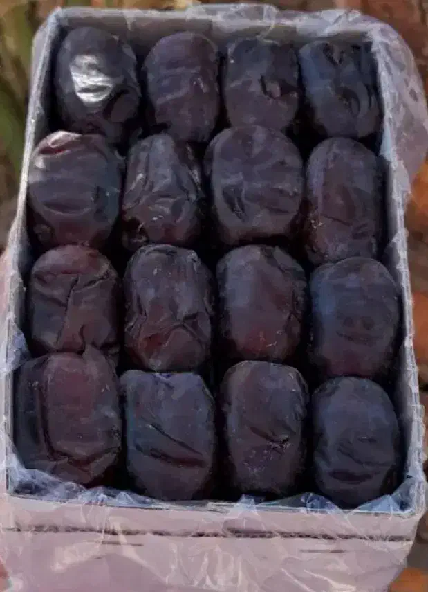 فروش عمده خرمای مضافتی با کیفیت|عمدهفروشی|فهرج, |دیوار