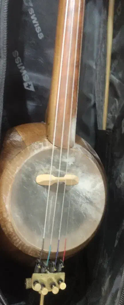 کمانچه پشت بسته درجه یک|سازهای سنتی|خرم‌آباد, |دیوار