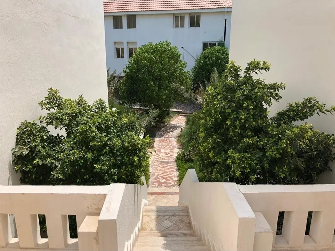 تصویر 2
