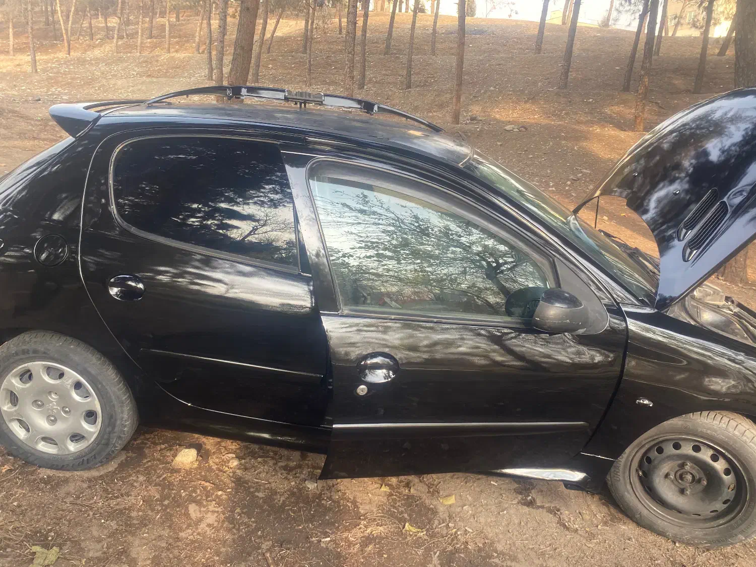 206 (تیپ ۱)|خودرو سواری و وانت|تهران, بوستان شیان|دیوار