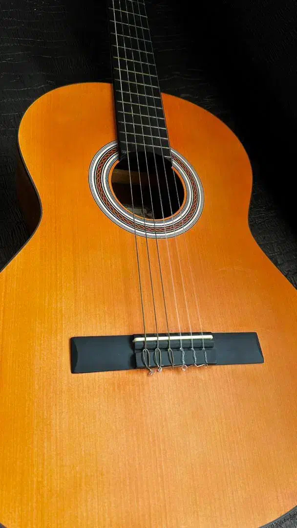 گیتار پارسی|گیتار، بیس، امپلیفایر|رشت, گلسار|دیوار