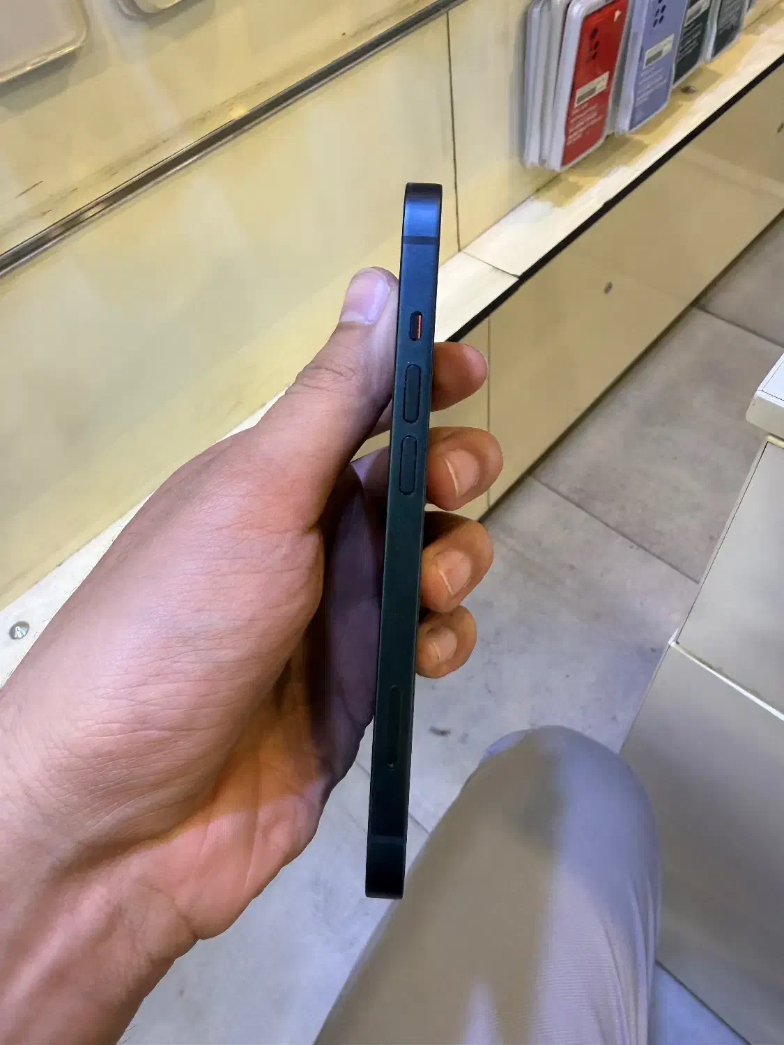 Iphone 13|موبایل|شیراز, ملاصدرا|دیوار