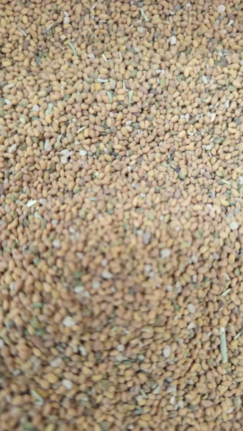 فروشتخماسپست|خوردنی و آشامیدنی|زهک, |دیوار