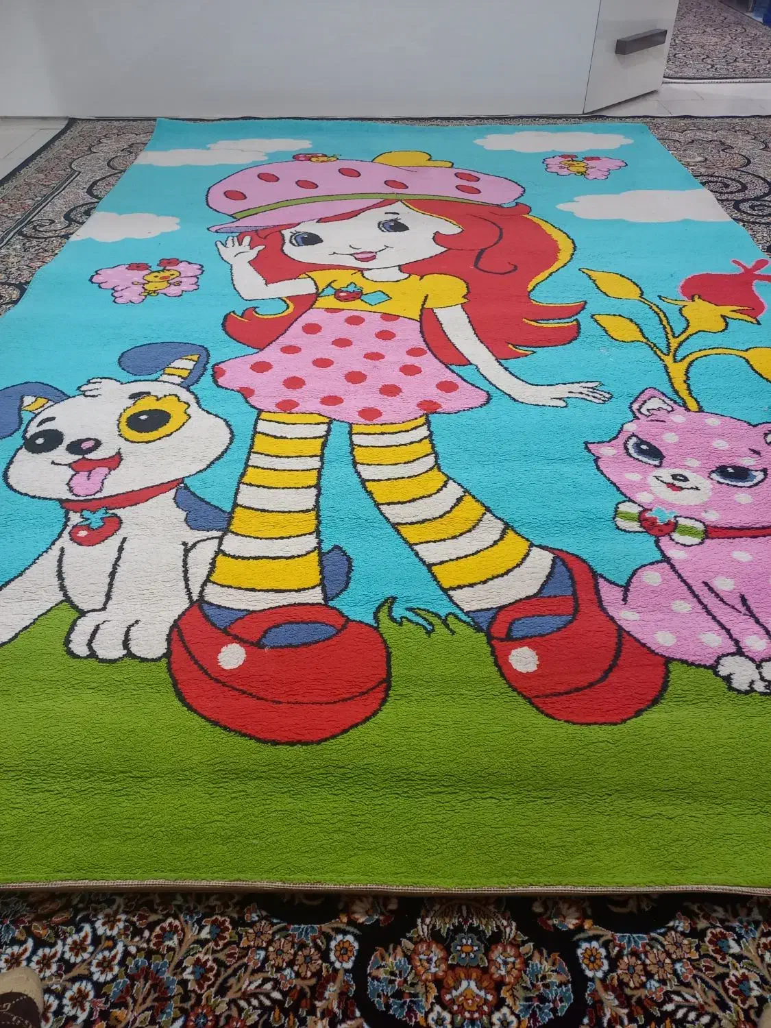 قالی کودک|فرش|بندرعباس, |دیوار