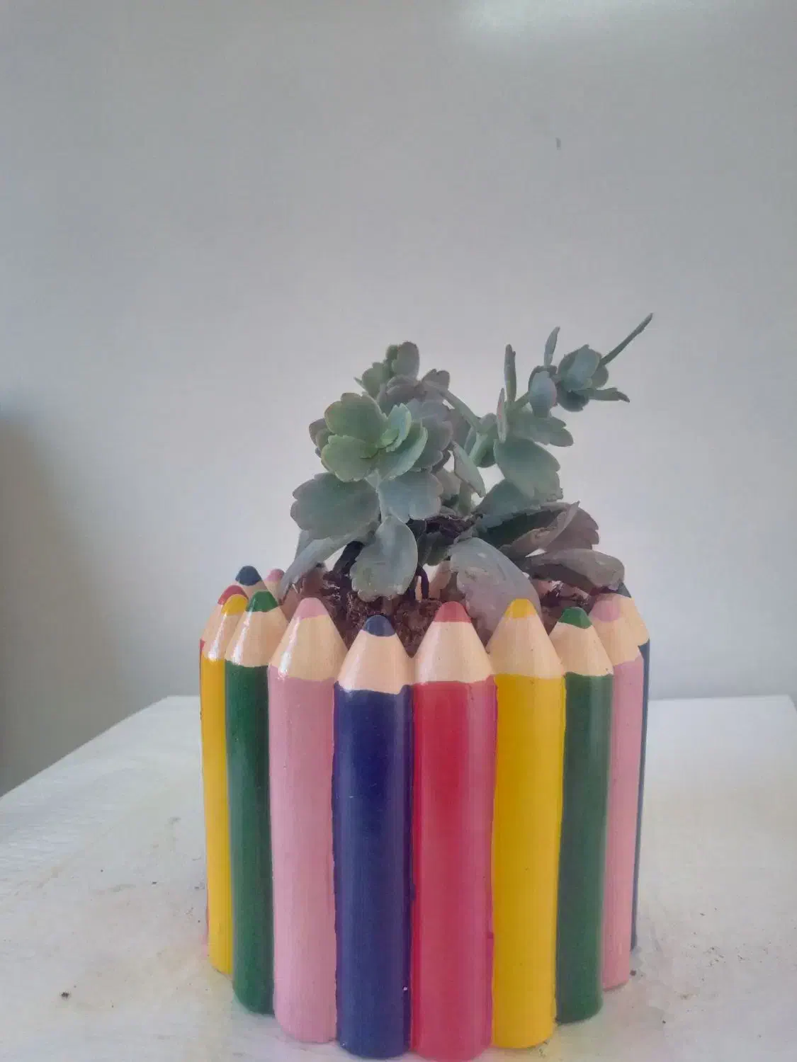 هدیه|گل و گیاه طبیعی|آباده, |دیوار