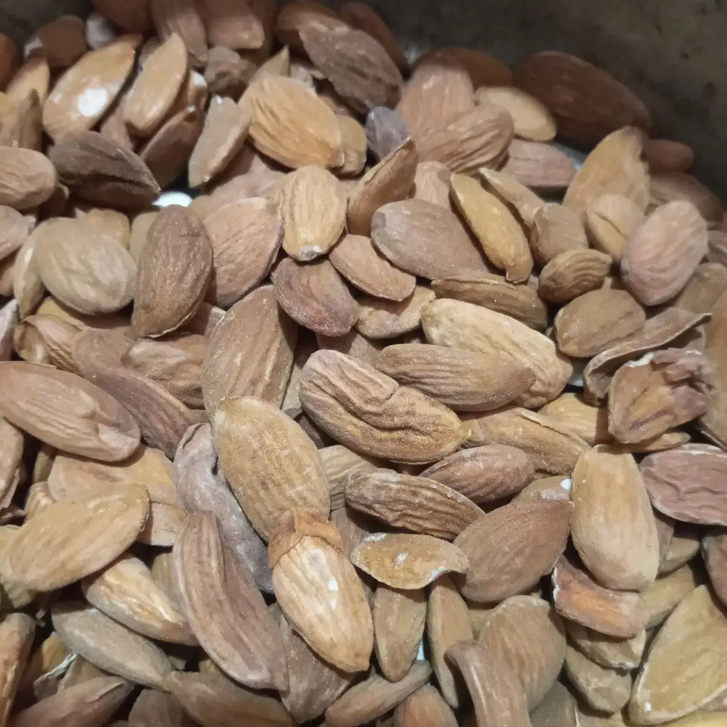 هسته شکن ،بادام ،زردآلو،گردو وانجک|خدمات باغبانی و درختکاری|یاسوج, |دیوار