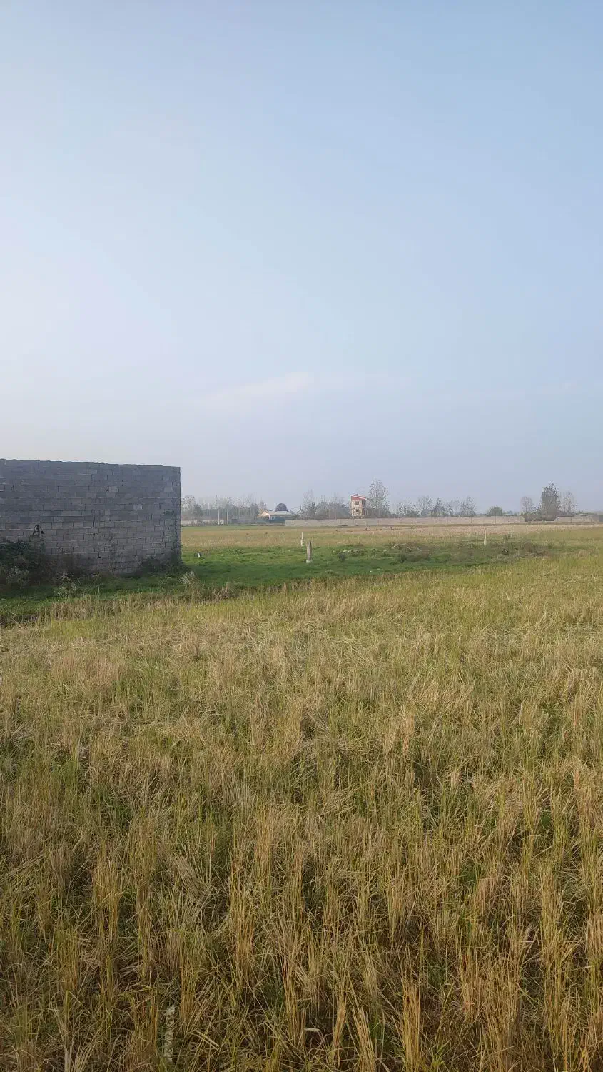 فروش زمین در تازه جاده نزدیک گلزاران و فرهنگیان|فروش زمین و ملک کلنگی|رشت, سیا اسطلخ|دیوار