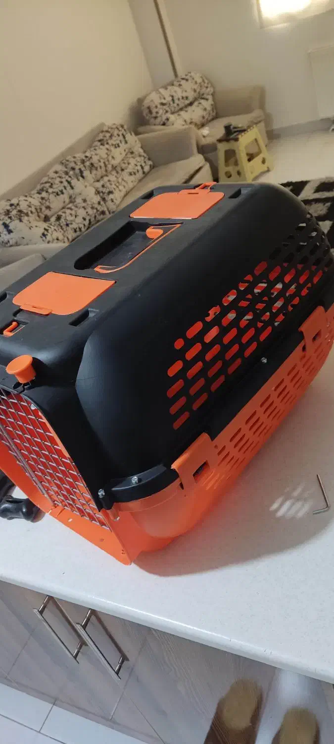 باکس سگ و قلاده ست|لوازم جانبی حیوانات|هشتگرد, شهرک ارم شرقی|دیوار