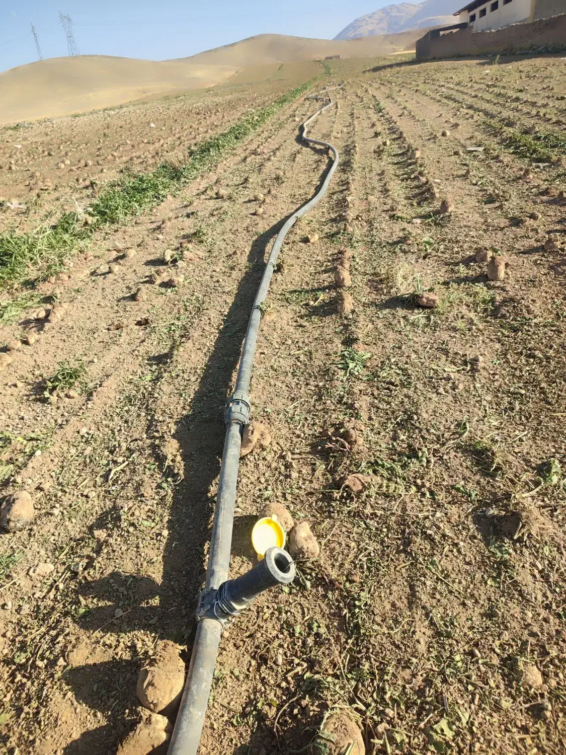 لوله بارانی 63و50و90 درجه یک کمند تاب کرمانشاه|مصالح و تجهیزات ساختمان|صحنه, |دیوار