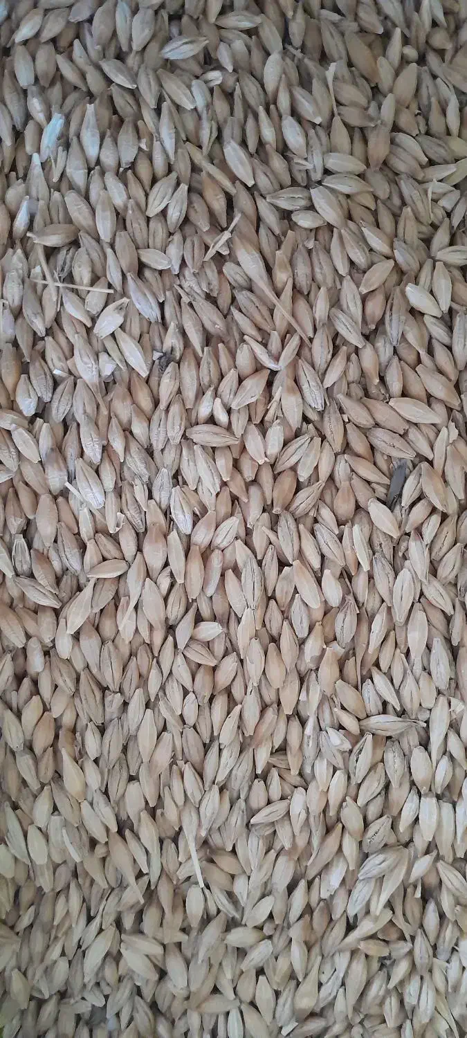 نهاده|عمده‌فروشی|نظرآباد, شهرک صنعتی سپهر|دیوار