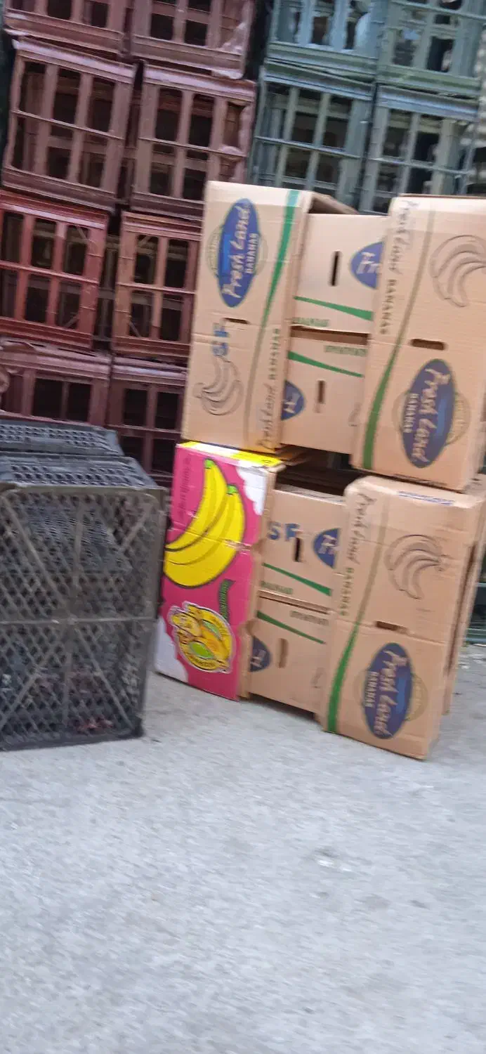 سبد کاهو ، کارتن موزی|فروشگاه و مغازه|دزفول, |دیوار