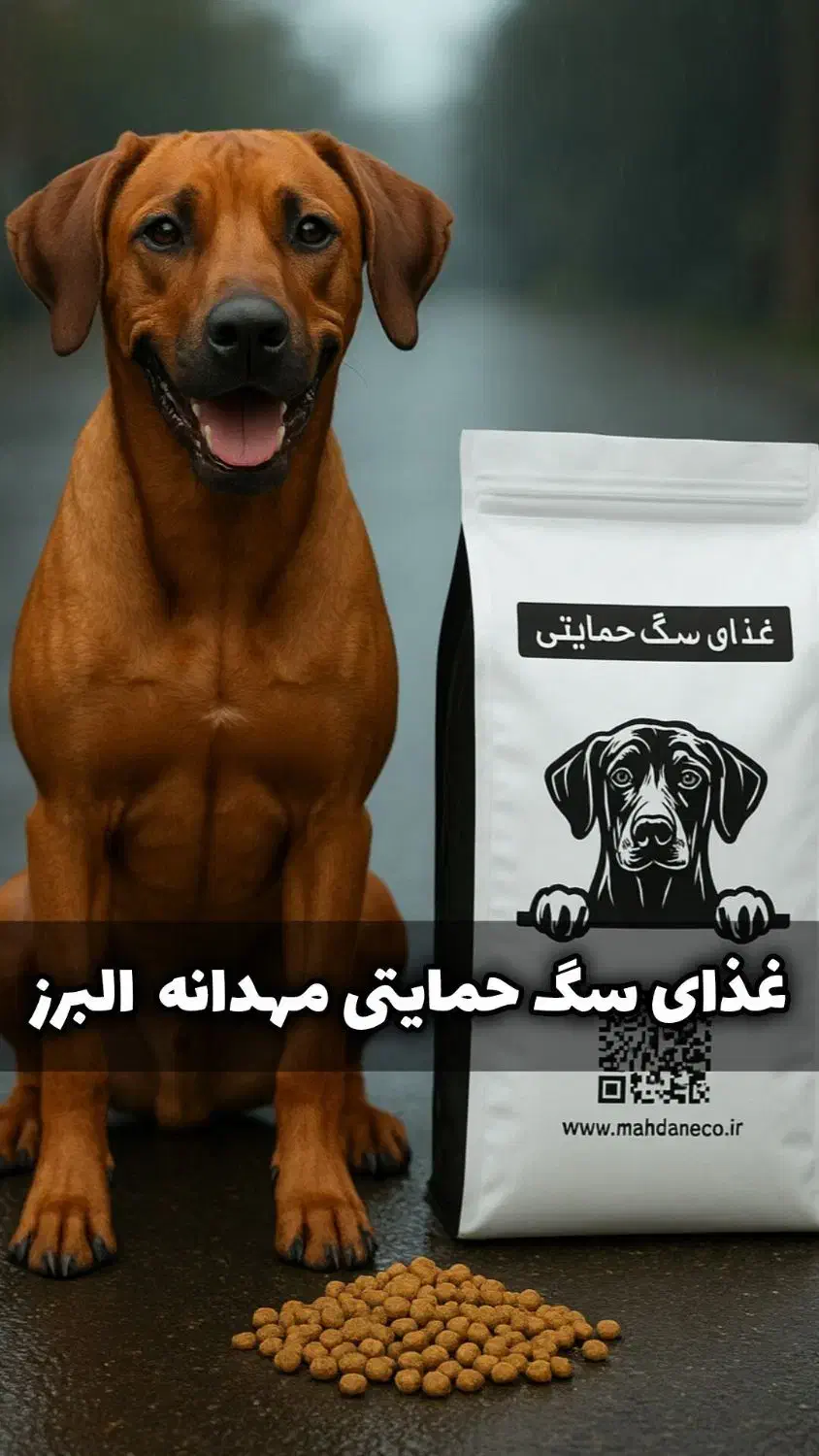 غذای خشک سگ|لوازم جانبی حیوانات|رباط‌کریم, یقه|دیوار