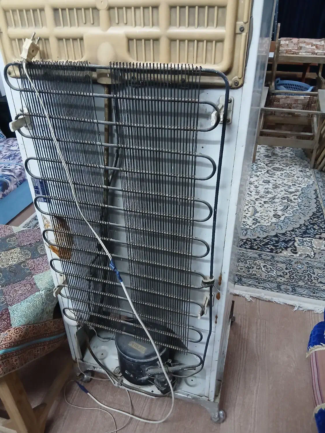 یخچال قدیمی فیلکو|یخچال و فریزر|ابریشم, |دیوار