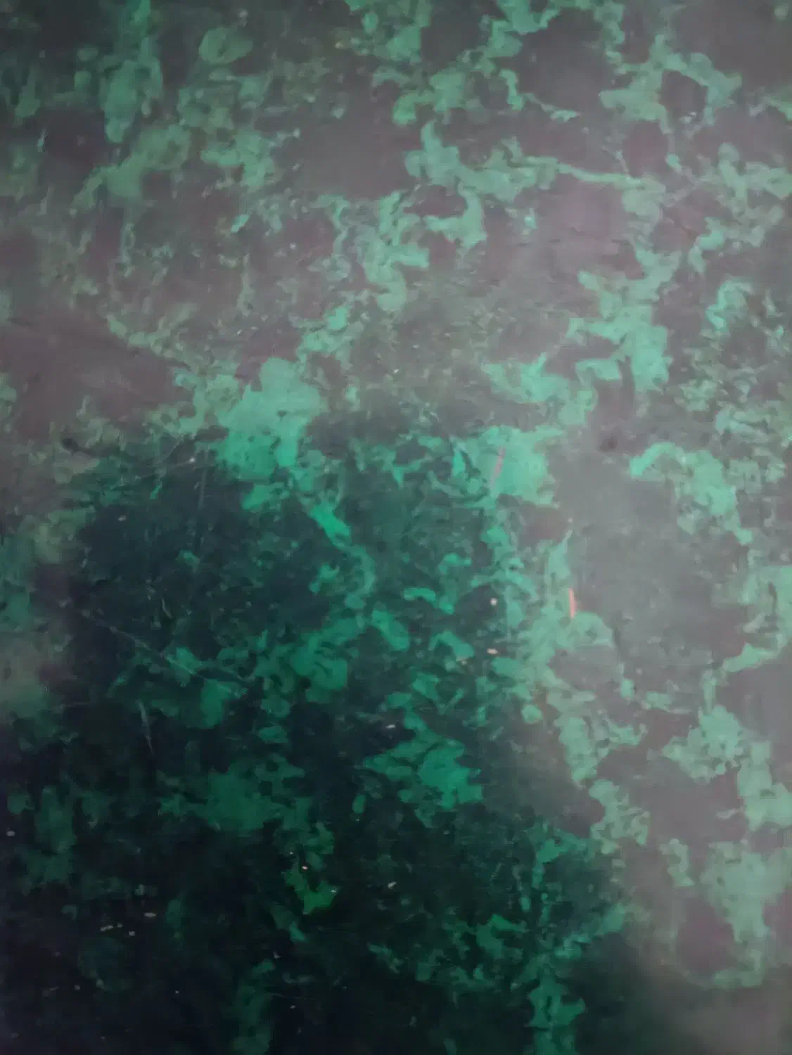 کارگر هستم|خدمات پیشه و مهارت|لردگان, |دیوار