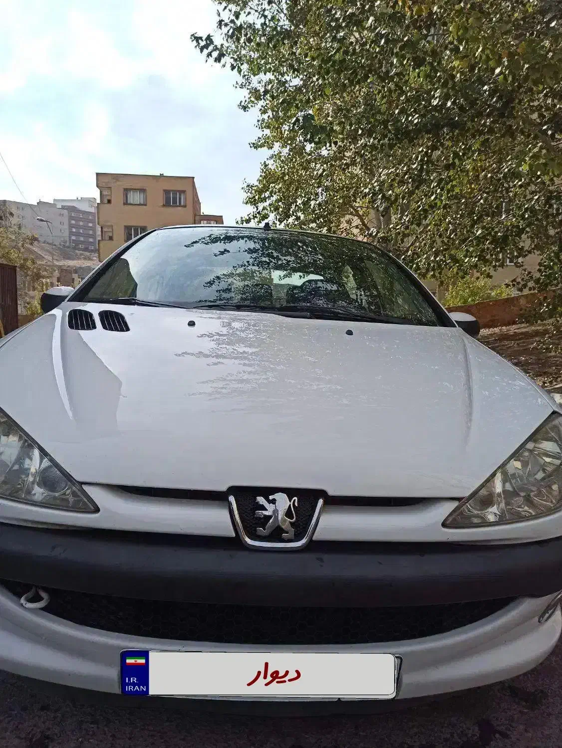 206 SD|خودرو سواری و وانت|تبریز, |دیوار