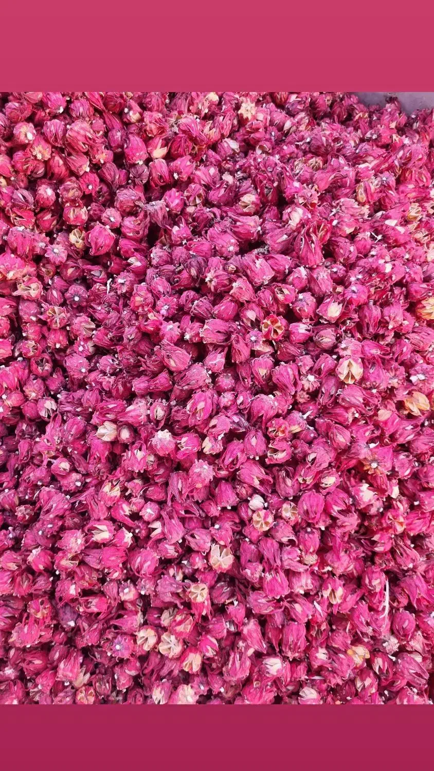 چای ترش غنچه صادراتی|خوردنی و آشامیدنی|تهران, بازار|دیوار