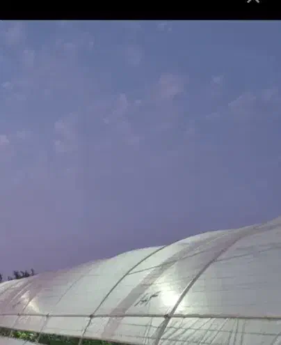 پلاستیک کشی وسیم کشی گلخانه انجام داده میشود|خدمات باغبانی و درختکاری|جزنیک, |دیوار