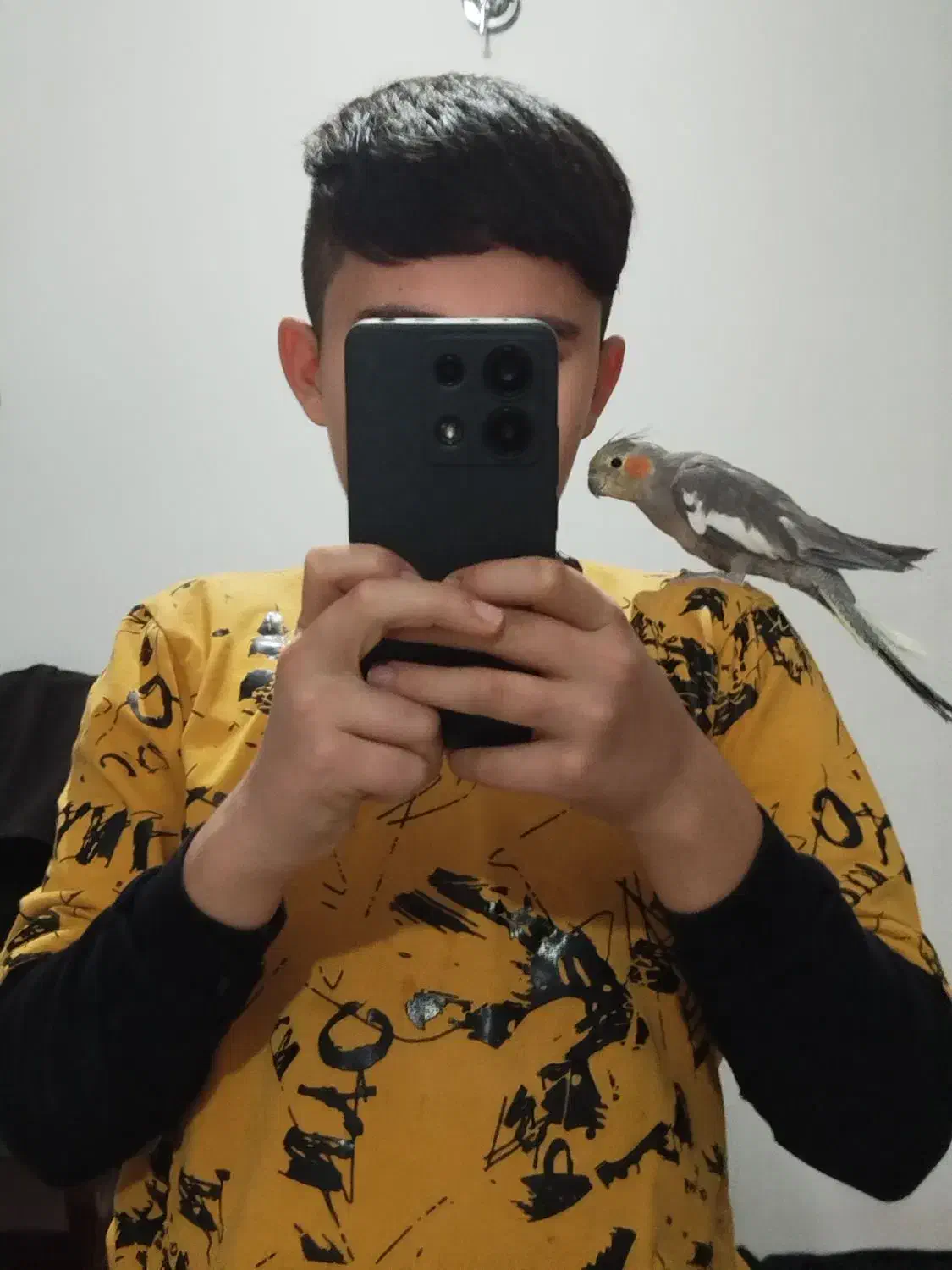 جفت عروس هلندی فول اهلی با قفس|پرنده|ارومیه, |دیوار