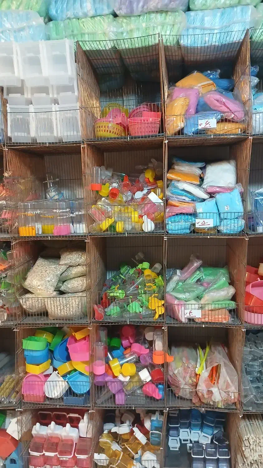 قفس و لوازم پرنده|لوازم جانبی حیوانات|مشهد, نوید|دیوار