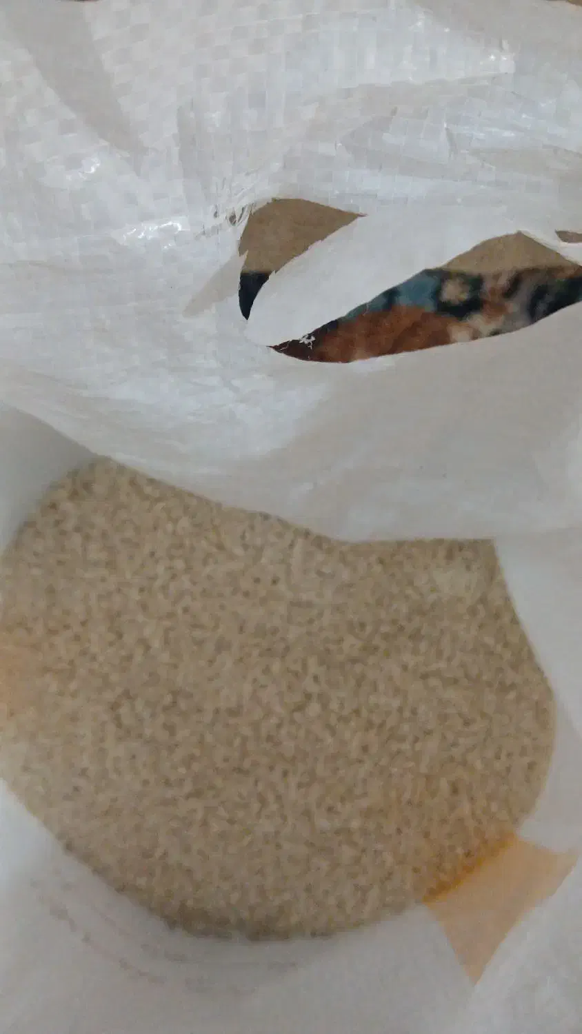 برنج عنبر بو|خوردنی و آشامیدنی|شوشتر, |دیوار