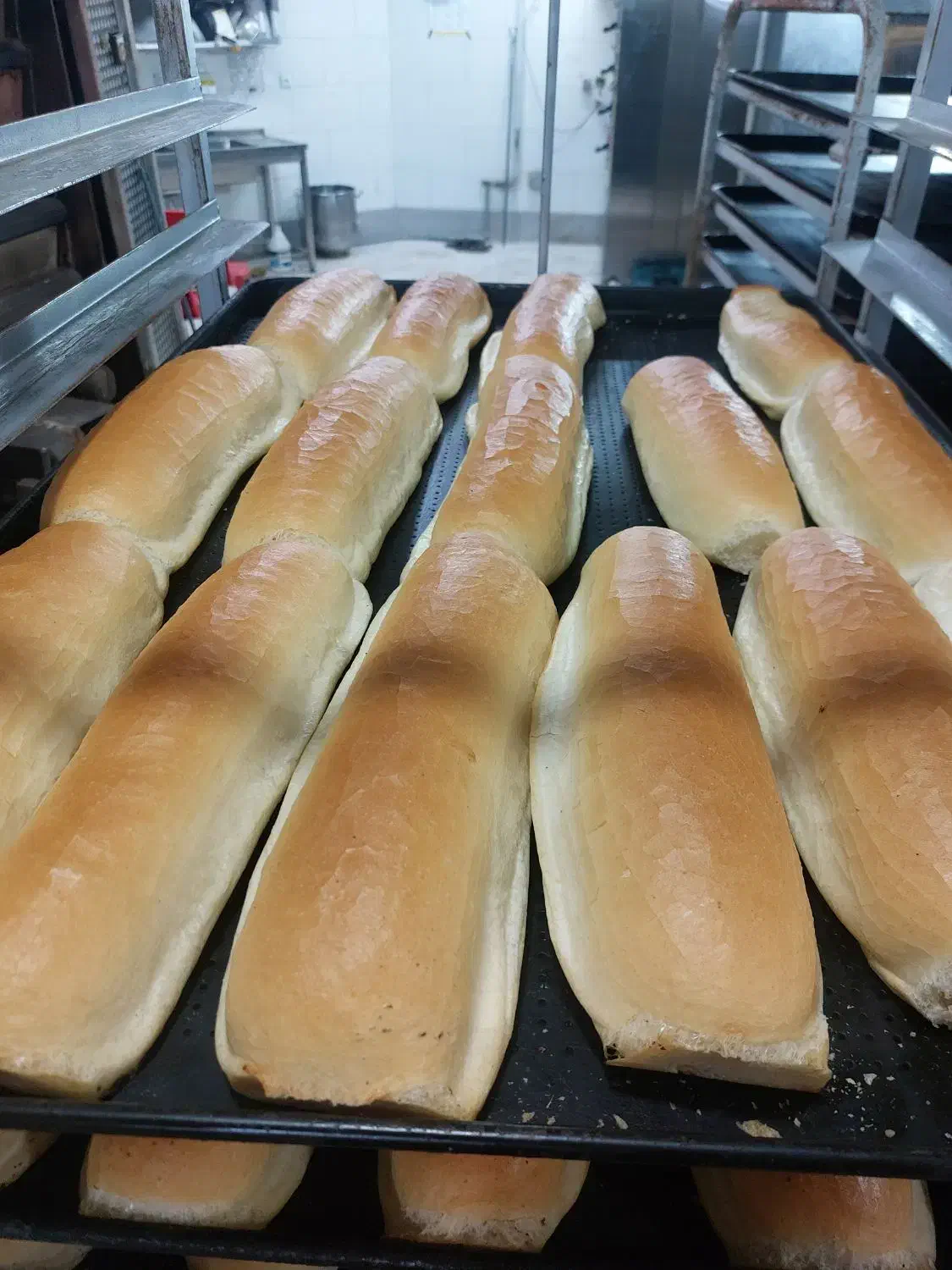 جذب همکار اقا در نان فانتزی منسوبی|استخدام خدمات فروشگاه و رستوران|دامغان, |دیوار