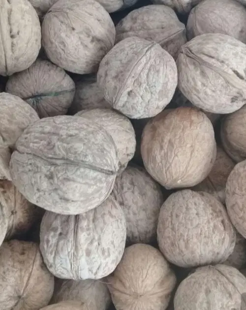 گردو|خوردنی و آشامیدنی|لردگان, |دیوار