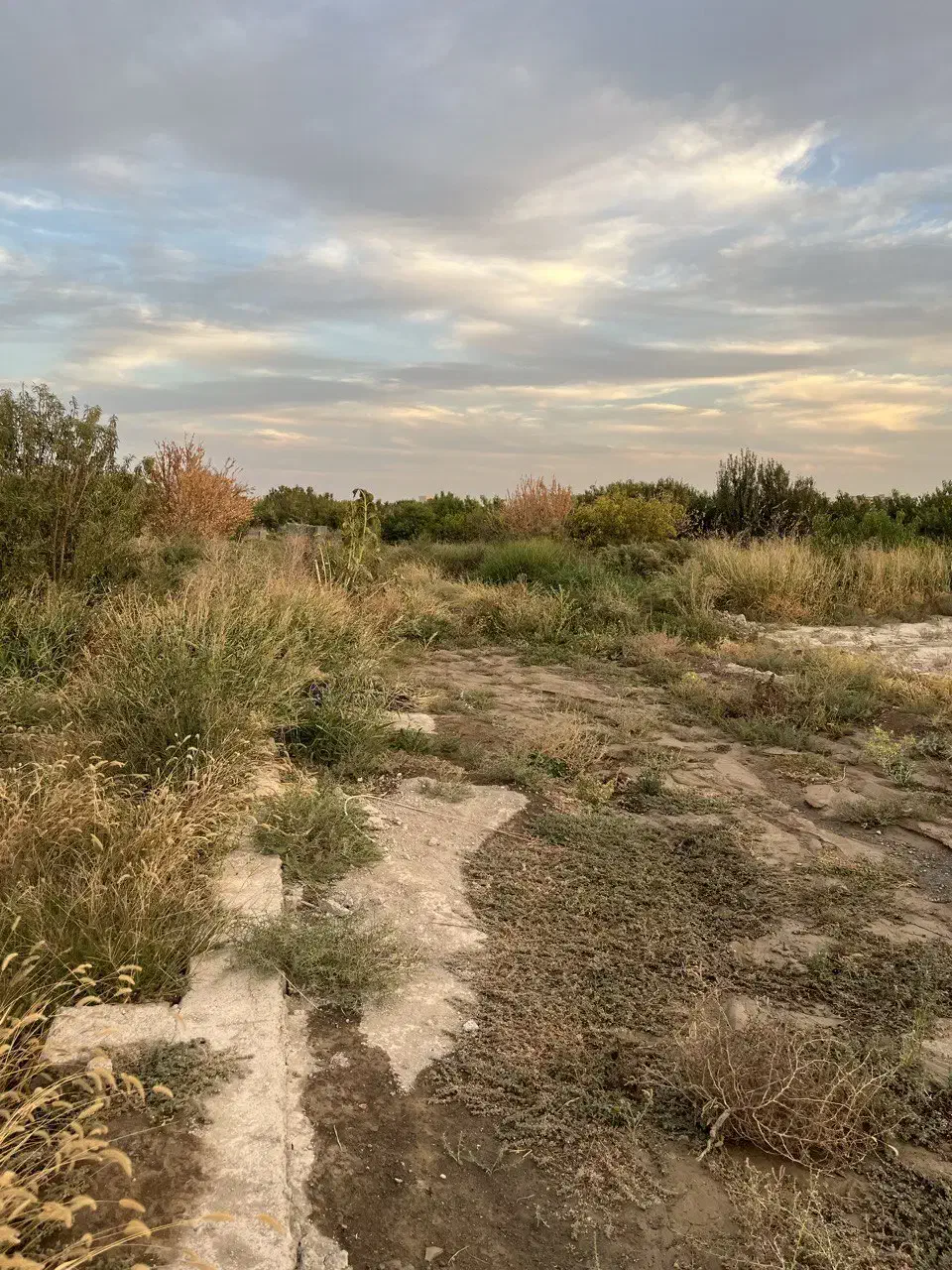 ۵۰۰متر باغ ۷ساله|فروش زمین و ملک کلنگی|رباط‌کریم, رباط‌کریم|دیوار