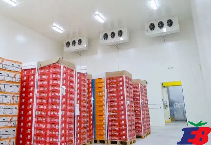 سردخونه کمهزینه و مطمئن|ماشینآلات صنعتی|تهران, پامنار|دیوار