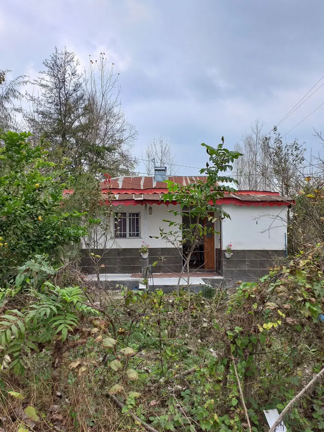 سوئیت باغ بر خیابان مکانی عالی|فروش خانه و ویلا|رشت, کوی فرهنگیان|دیوار