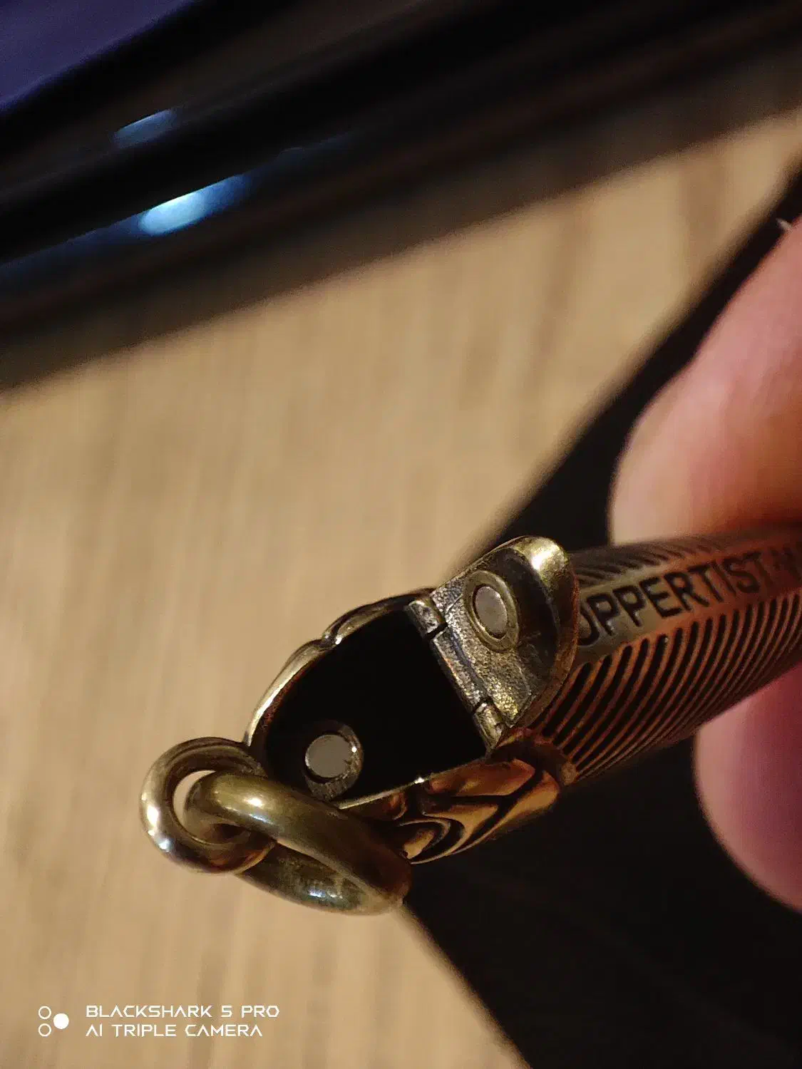 گردنبند آویز زینتی کپسول دار طعمه ماهی|بدلیجات|تهران, ونک|دیوار