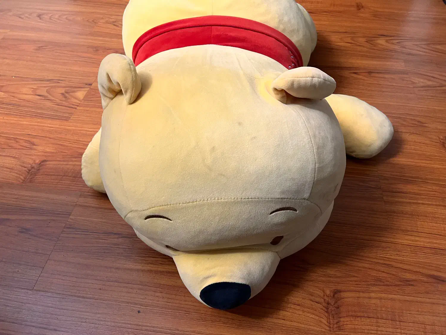 عروسک خرس|اسباب‌بازی بچه|مشهد, دانشجو|دیوار