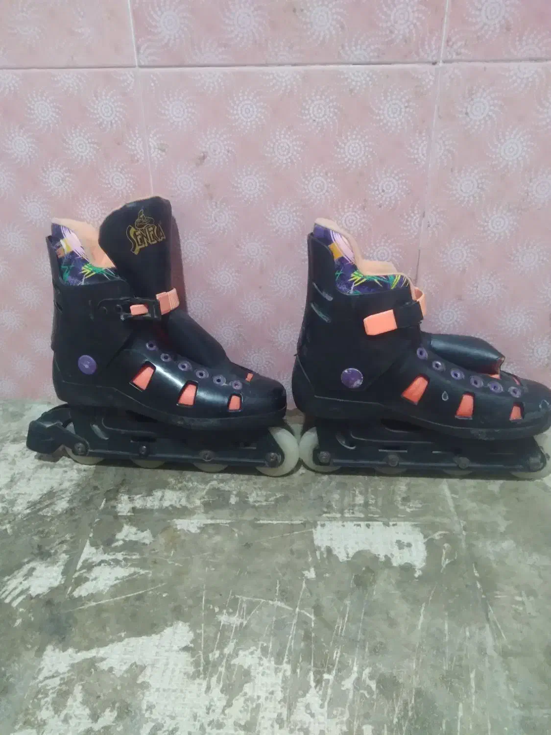 اسکیت|دوچرخه، اسکیت، اسکوتر|گنبد کاووس, |دیوار