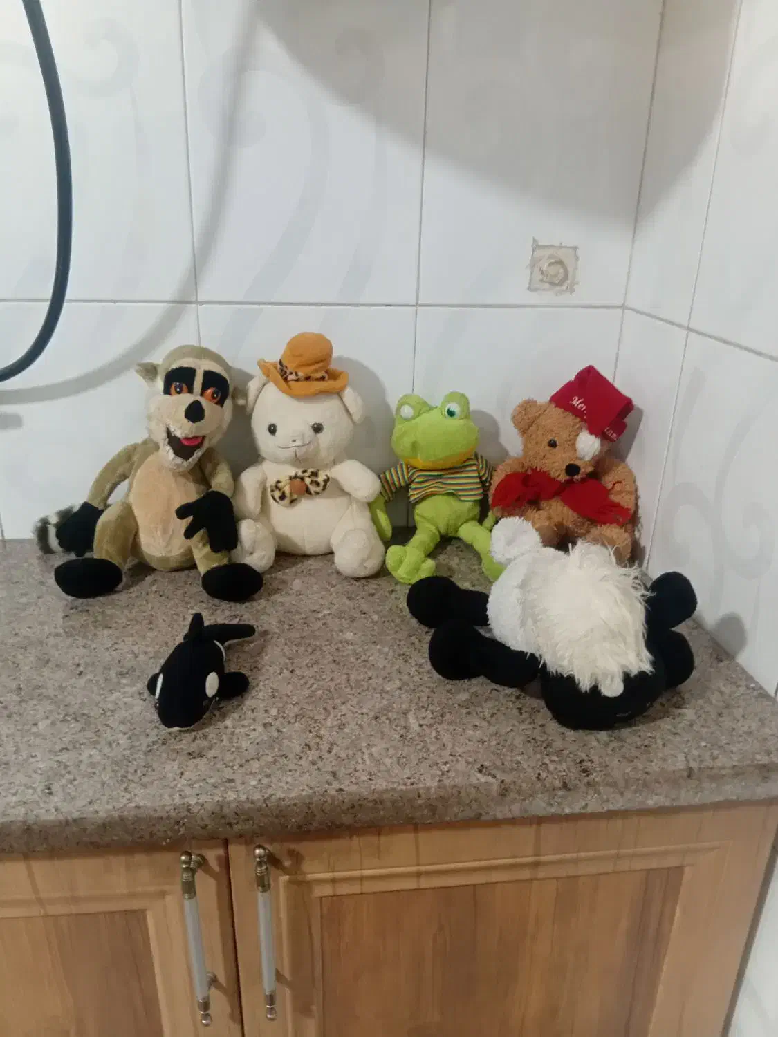 عروسک بچه|اسباببازی بچه|مرودشت, دولت آباد|دیوار