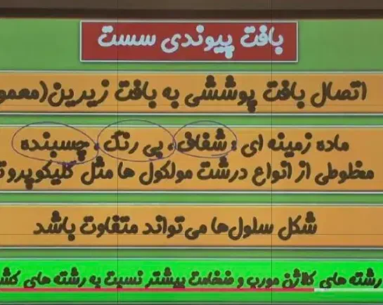 آموزش آنلاین وحضوری کامل زیست شناسی دهم تجربی|خدمات آموزشی|ایلام, |دیوار