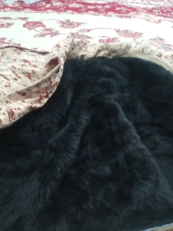 اورکت نزاجا|لباس|سبزوار, هویزه|دیوار